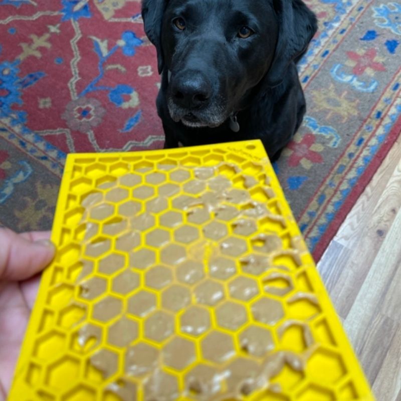 Compact likkende tapijten voor honden en katten - Anti -stress honingraatpatroon 🐝