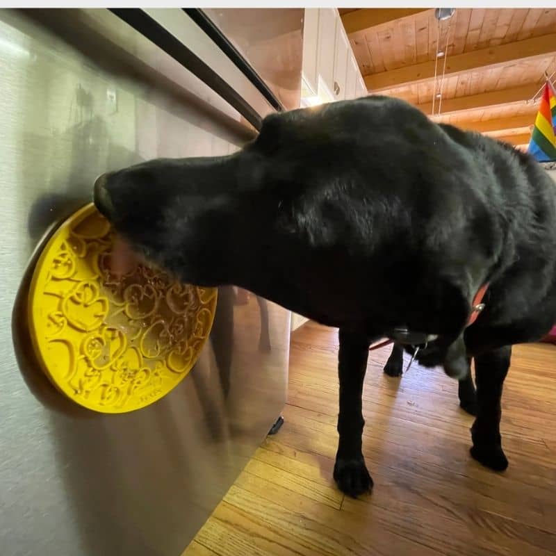 Anti -stress likkende tapijten voor honden en katten met zuignappen - geel eendenpatroon, ideaal voor bad