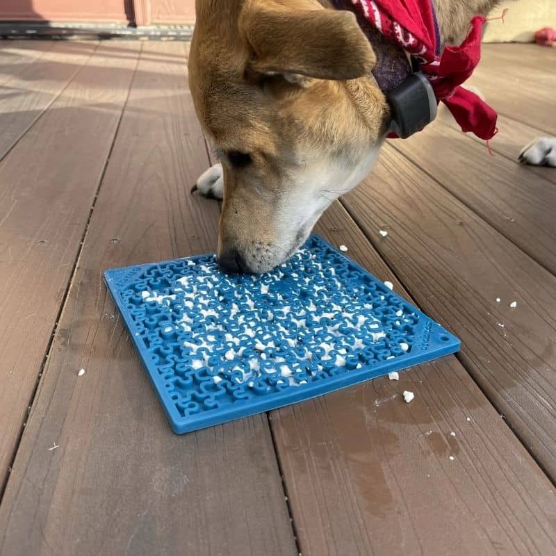 Tapis de Léchage Puzzle Bleu pour Chiens et Chats - Anti-Stress et Sans BPA - Passeport Cases