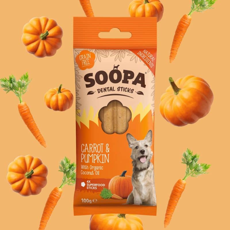 Chewing dental sticks for vegan dog - carrot and pumpkin, cereals