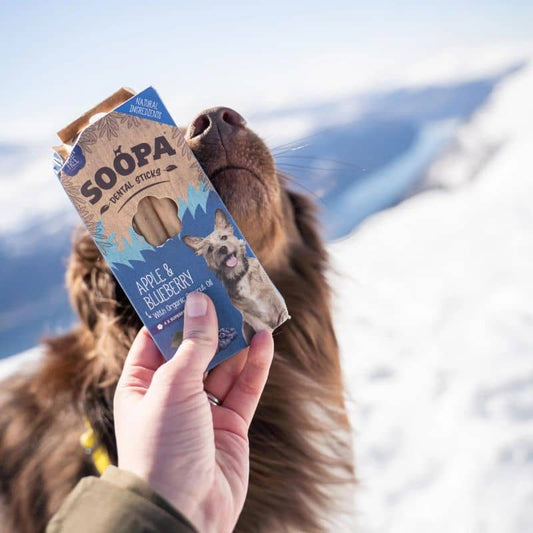 Bâtonnets dentaires Soopa à mâcher - Pomme et myrtille pour chiens - Passeport Cases