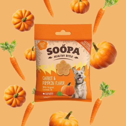 Educational treats for dogs without cereals - Carrot and pumpkin soup