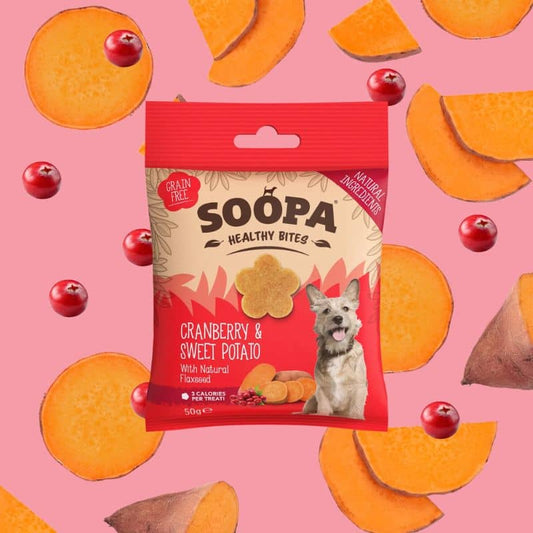 Dog education treats - Cranberry and sweet potato