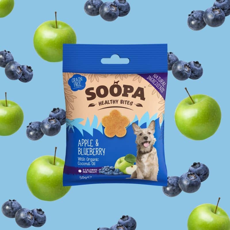 Dog education treats - apple and blueberry