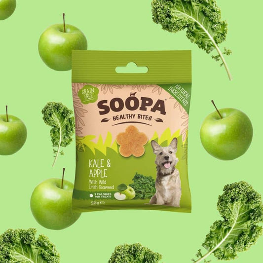 Education treats without cereal for dogs - Kale and apple, rich in antioxidants