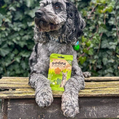 Bildungsbehandlung ohne Müsli für Hunde - Grünkohl und Apfel, reich an Antioxidantien