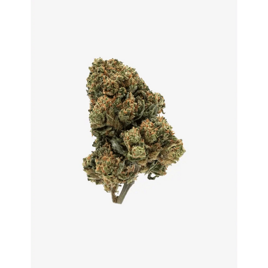 Sour Diesel - Passeport Cases