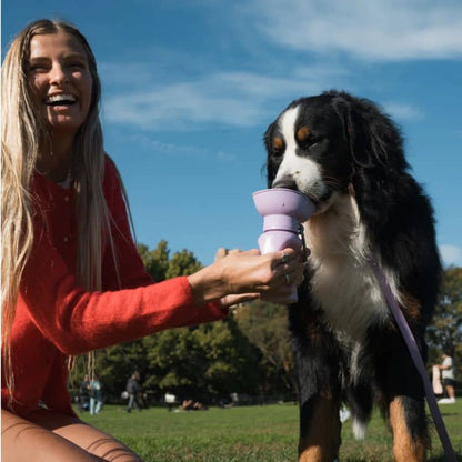 Hund infällbar kalebass med integrerad vattendispenser - 590 ml, 4 färger tillgängliga