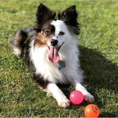 Sfera fosforescente per la dimensione del cane m - brilla al buio, galleggiante e impermeabile