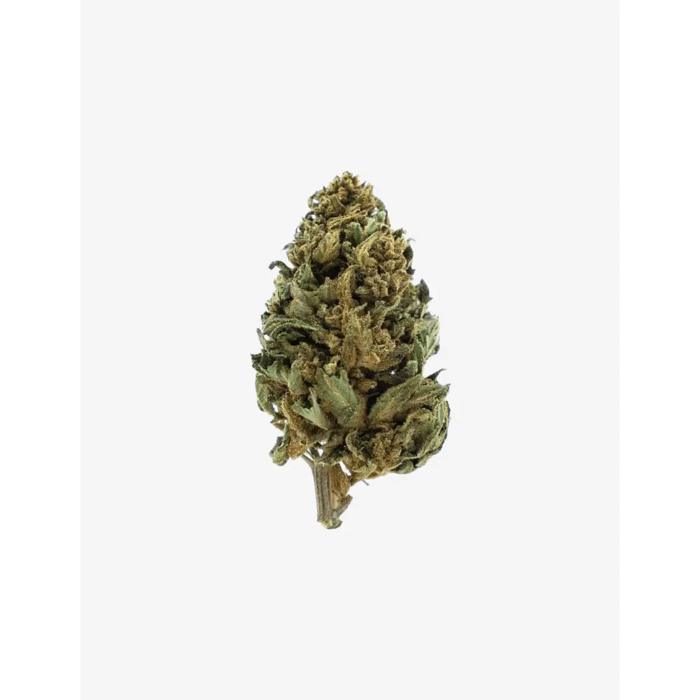 Strawberry Small Buds - Passeport Cases