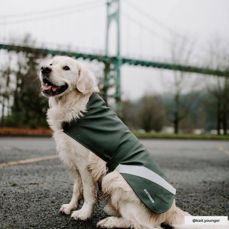 Riflettente e pile impermeabile per i cani - Kaki Verde, facile da indossare