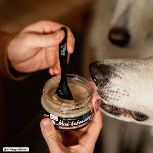 Schiuma di cocco per cani con banana, mango e mirtillo - perfetto per leccare il tappeto