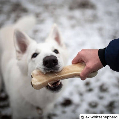 Bone da masticazione naturale per cani - rafforzamento di articolazioni e igiene dentale