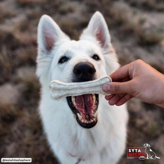 Chewing vegetariano per cani - cocco e patate dolci, senza cereali o glutine