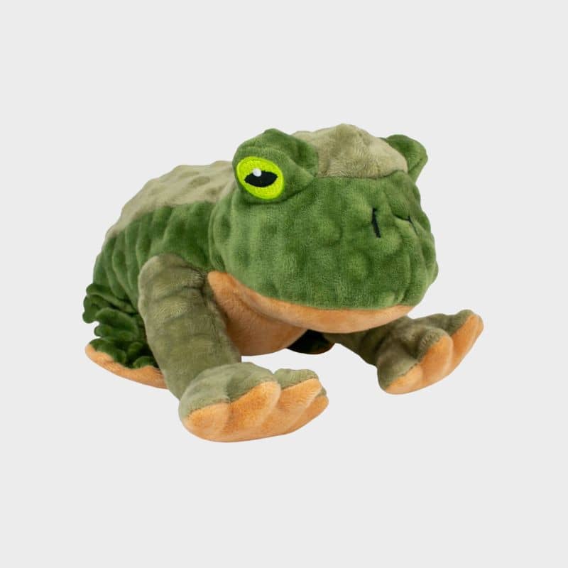 Peluche che si muove per i cani - rana 🐸