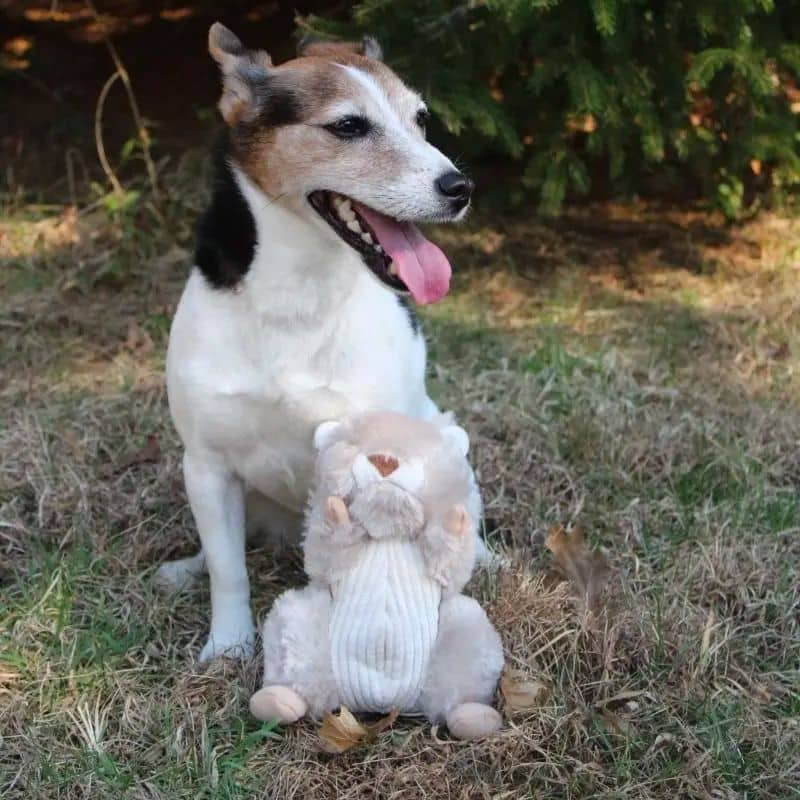 Scoiattolo giocattolo interattivo per cane - peluche con code animate alte code