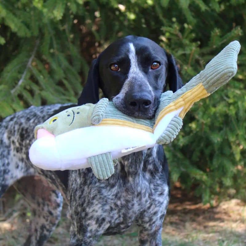 Giocattolo per cani che si muove - pesce lussuoso con code alte couiner 🐟