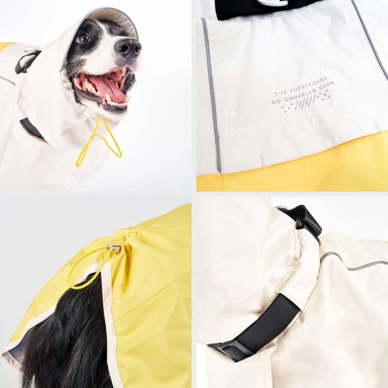 Waterproof for dogs - Yellow Rain Venture 🌧️