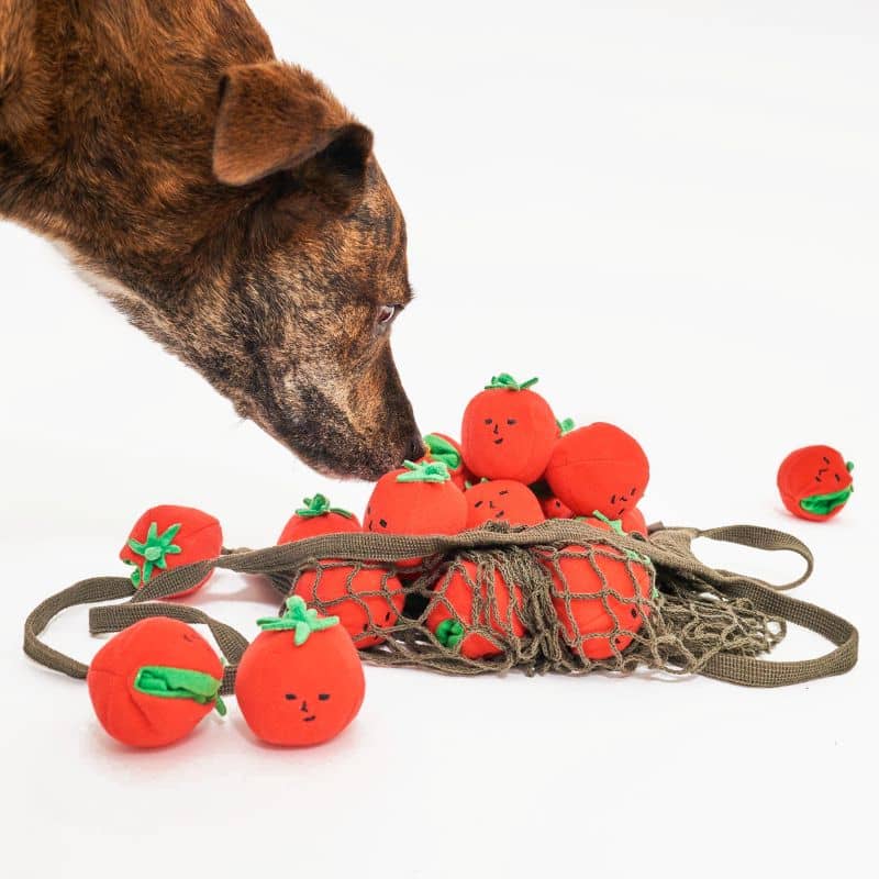 Giocattolo stimolante per cani sotto forma di pomodori - attività di osservazione dei FurryFolks