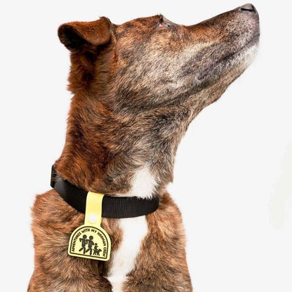 Clip dog medal - The Daily Clip (4 designs to choose from)