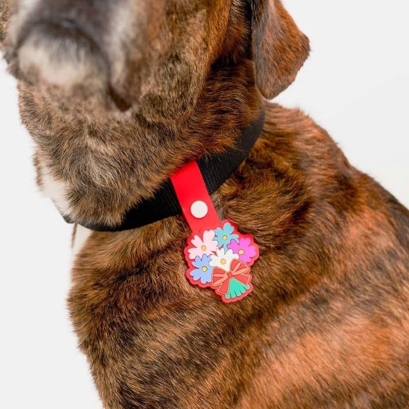 Clip dog medal - The Daily Clip (4 designs to choose from)