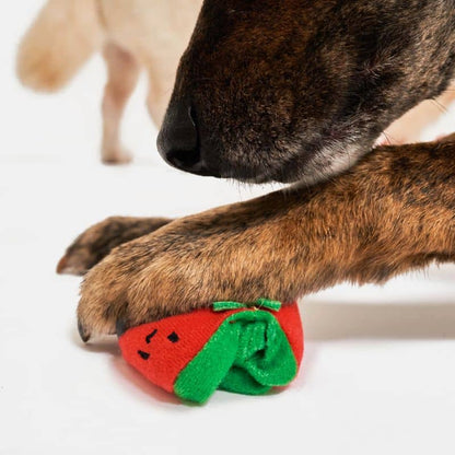 Giocattolo stimolante per cani sotto forma di pomodori - attività di osservazione dei FurryFolks