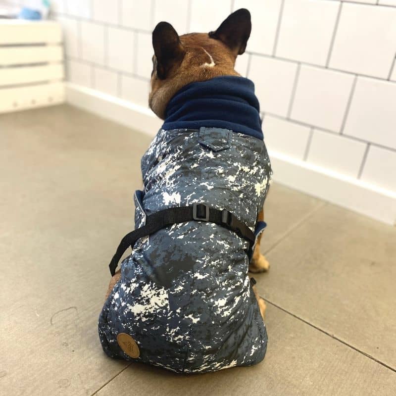 Manteau Écologique pour Bouledogue - The Splash