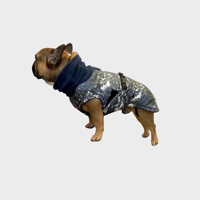 Manteau Écologique pour Bouledogue - The Splash