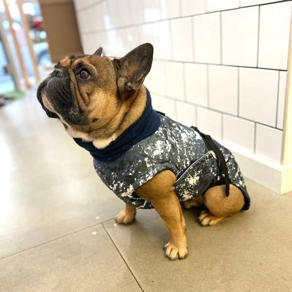 Manteau Écologique pour Bouledogue - The Splash