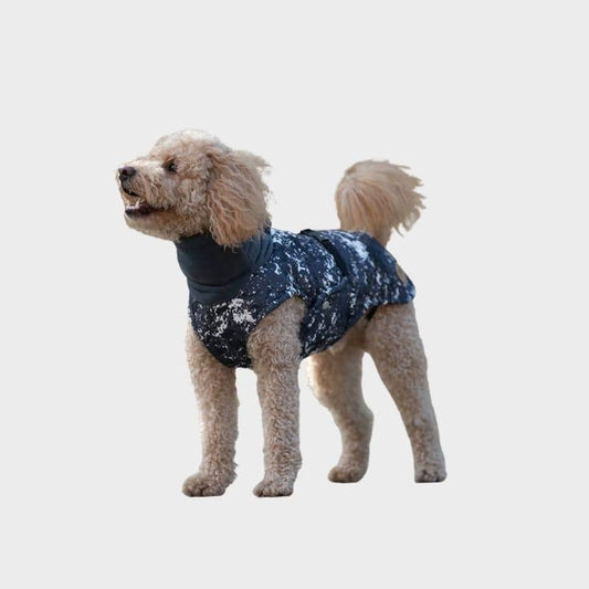 Manteau Éco-Responsable pour Chien - The Splash