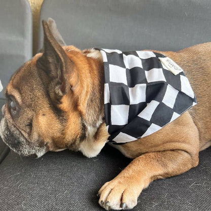 Bandana for dog - Black checkmate "Chess Dog"