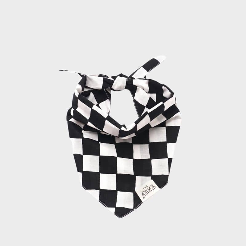 Bandana for dog - Black checkmate "Chess Dog"