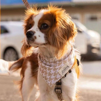 Bandana per cani - BEIGE Hen Foot