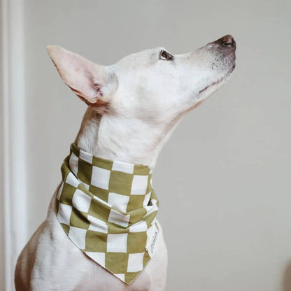 Cotton Dog Bandana - Modello di scacchiere verde alla moda