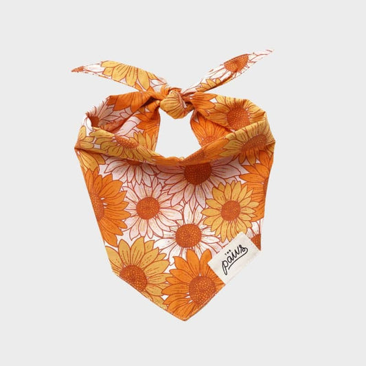 Bandana per cani - campi di fiori 🌻