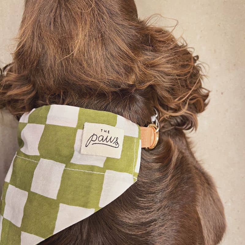 Cotton Dog Bandana för att glida på halsband - Stylish Green Chessboard Mönster