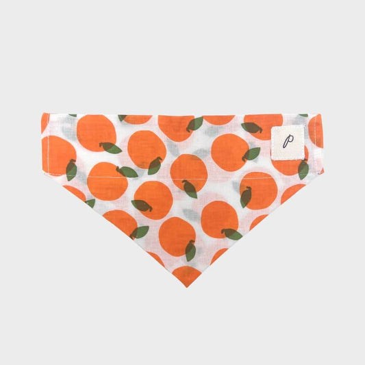 Bandana Orange à Glisser sur Collier pour Chiens - The Paws - Passeport Cases