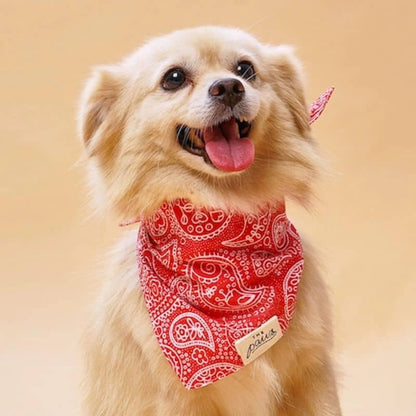 Red Cashmere Dog Bandana - "Rodeo" di The Paws