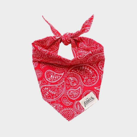 Bandana Cachemire Rouge "Rodeo" pour Chiens par The Paws - Passeport Cases