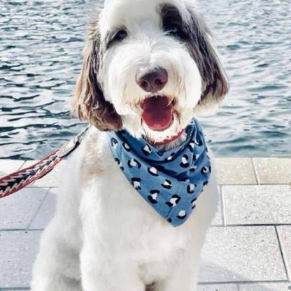 Blue Leopard Bandana for Dog - Trendy Cotton Accessory the Paws