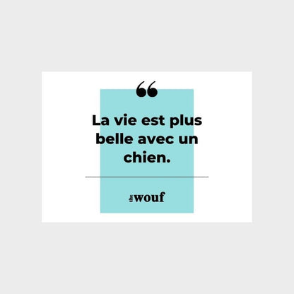 La carta regalo Wouf: offrire felicità per cani e proprietari