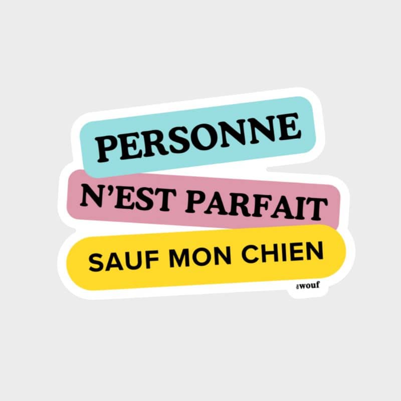 Наклейка - ніхто не ідеальний, крім моєї собаки