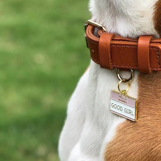 Customizable dog medal - Good girl by Two Tails Company