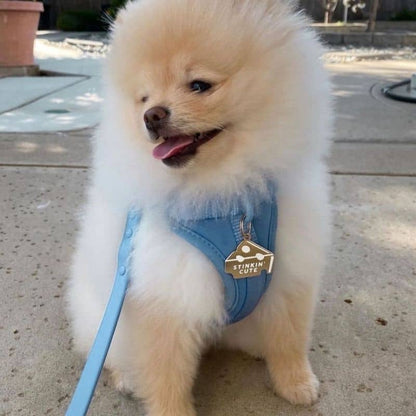 Dog medal - Sinkin 'Cute