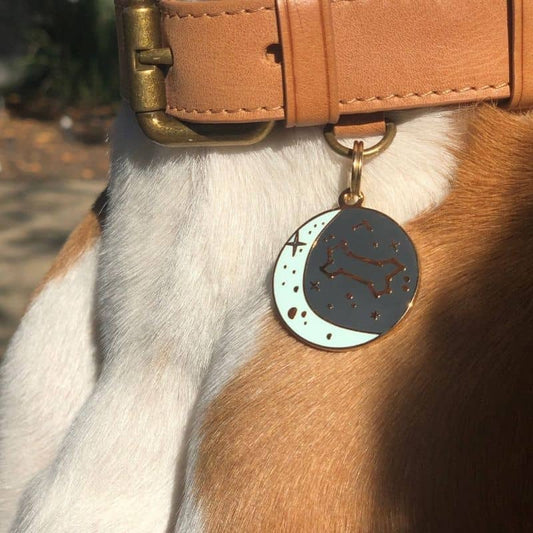 Dog medal - Constellation ✨