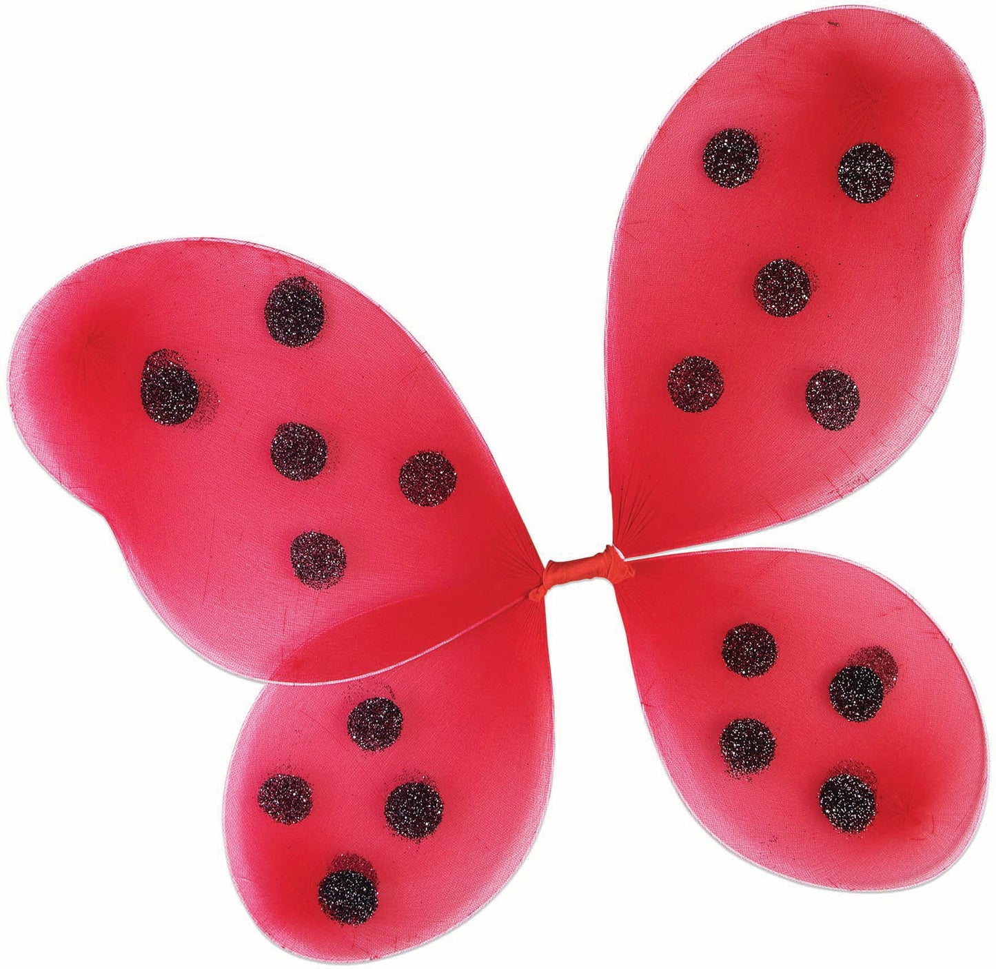 Ailes Enchantées de Coccinelle pour Enfants