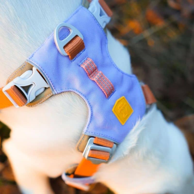 Dog eco -responsible harness - Alpha 360 Mauve Lavender Mix with aluminum fixation and reflective strips