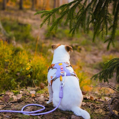 Reflective leaving in ecological rope for dogs - Mauve Lavender (available in 2 widths)